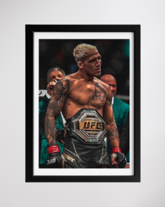 Постер Charles Oliveira